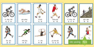 桥牌线上赛事观赛指南